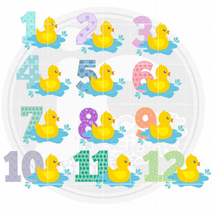 baby-monthly-milestone-svg-1-12-months-duckling-svg-nursery-baby-shower-svg-eps-dxf-png-cut-file-sublimation-print-clipart-digital-design