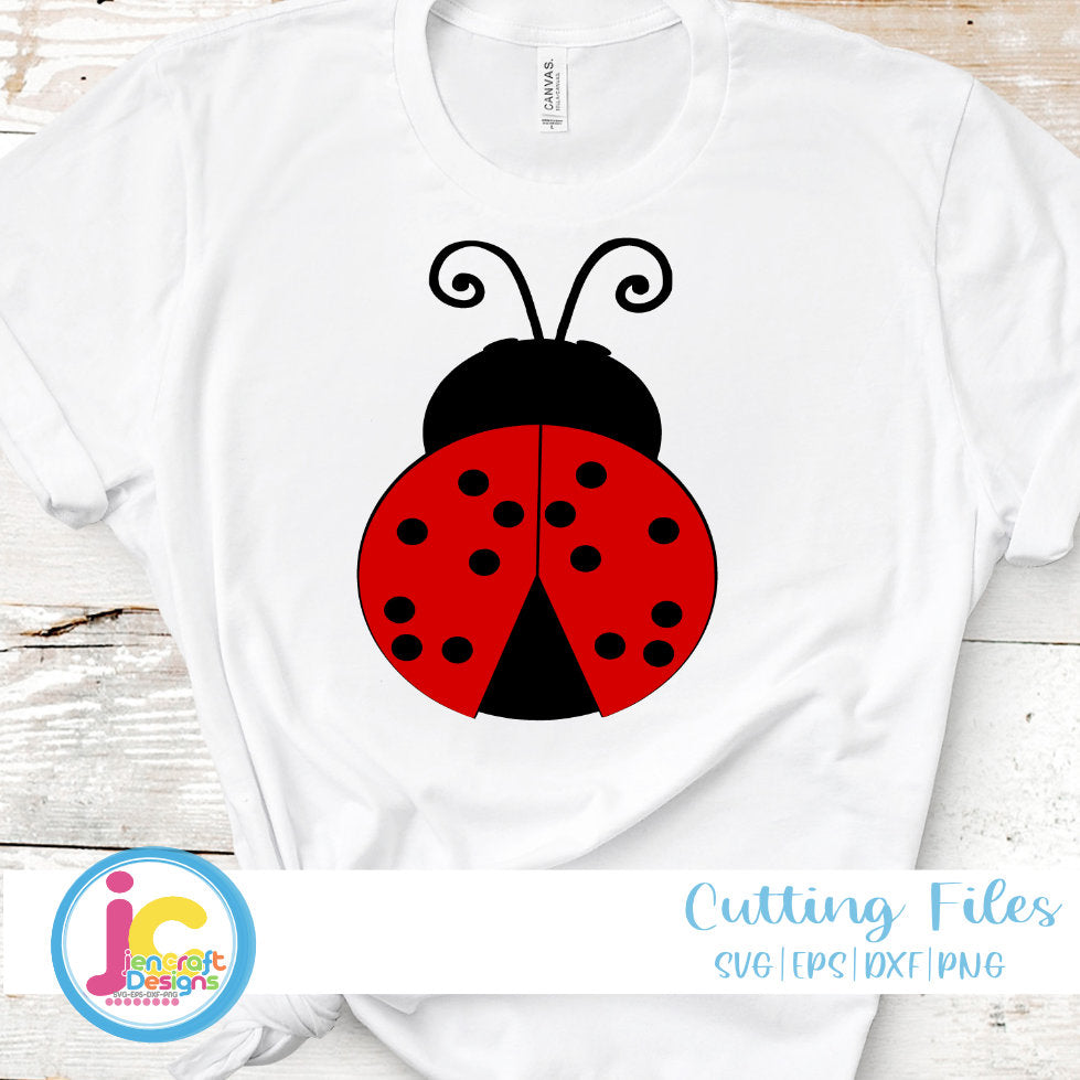 ladybug