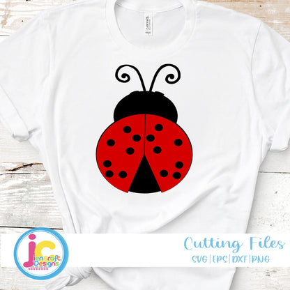 ladybug