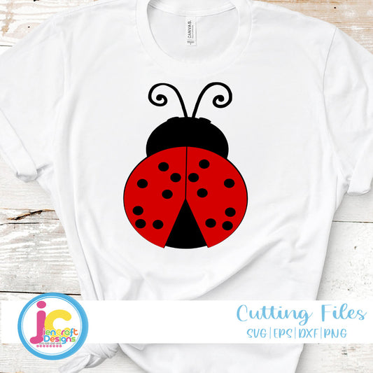 ladybug