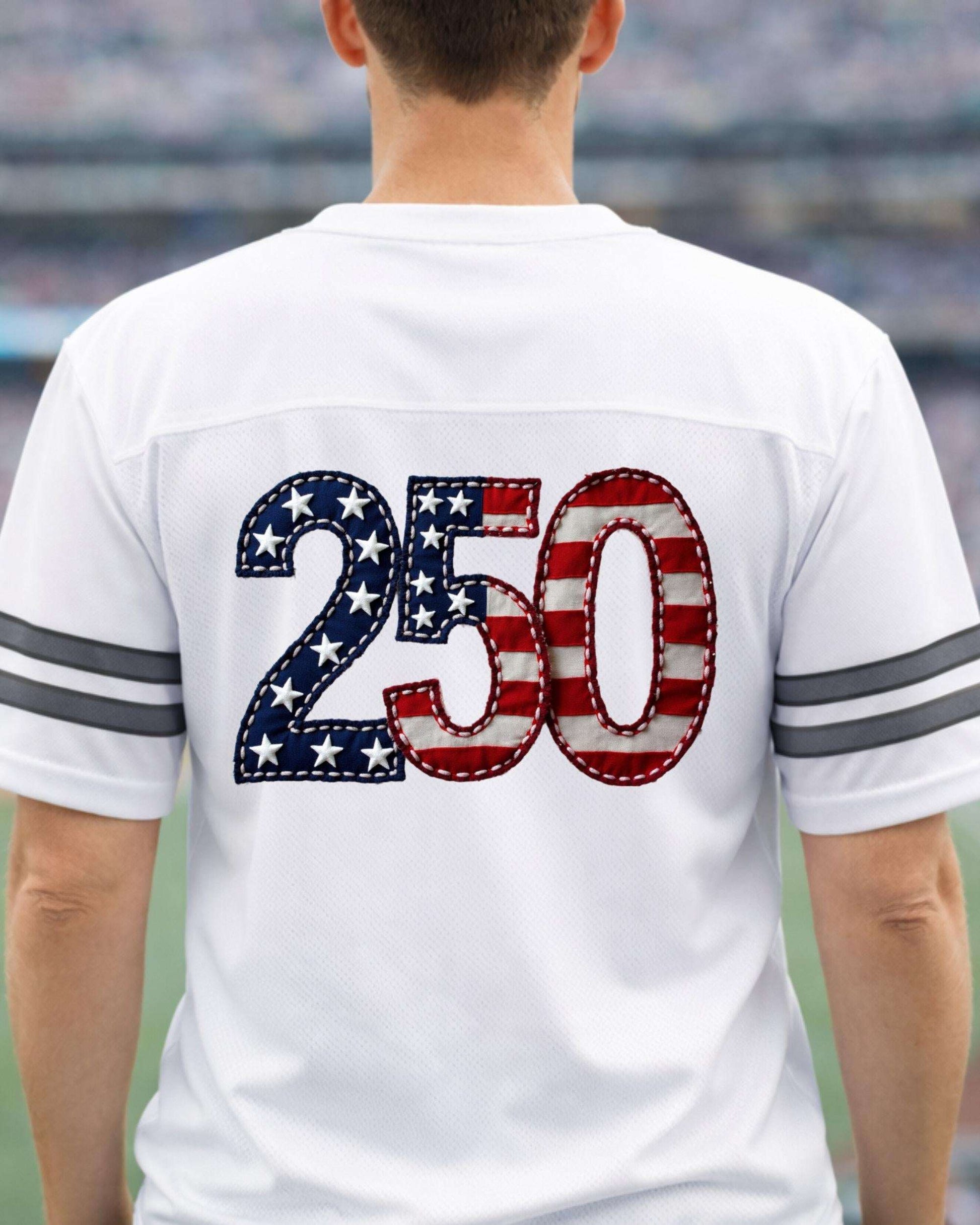 Patriotic 250th Anniversary PNG | USA 2026 Faux Embroidery digital download preview