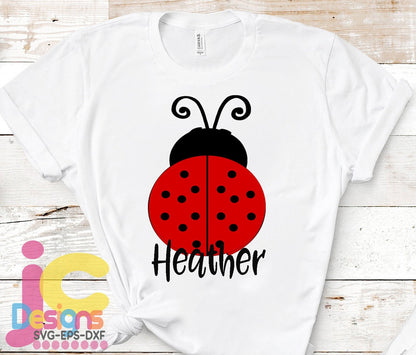 ladybug