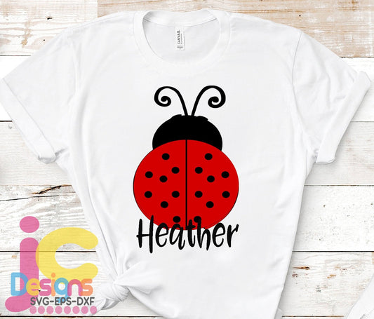 ladybug